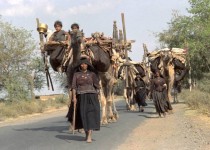 Inde 1986 - 2010